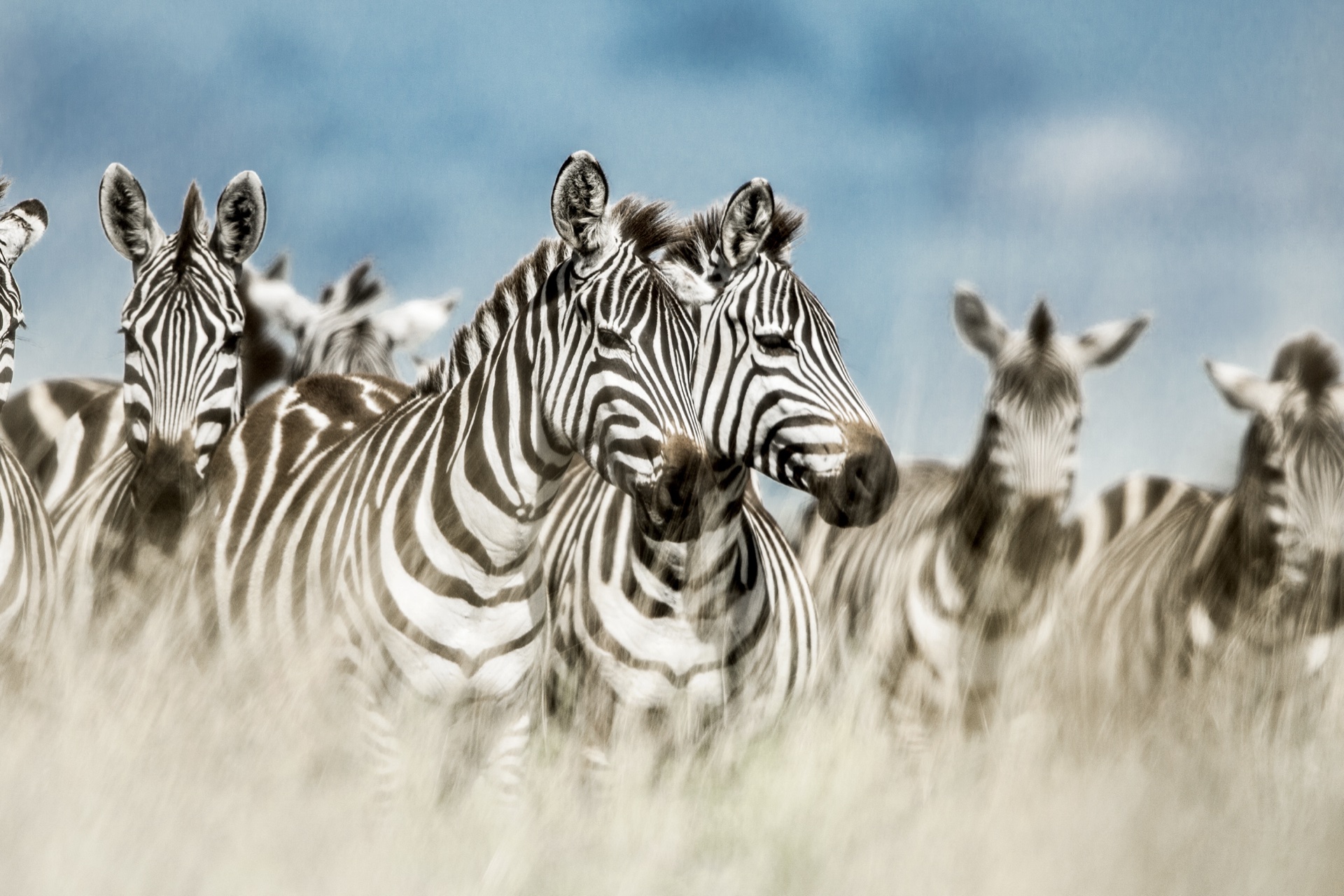 Top 5 Things to See in Tanzania: A Guide to Iconic Landscapes and Experiences